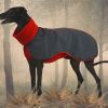 Deluxe Softshell Wintermantel / Windhundmantel mit integriertem Body Modell "Monaco" – Bild 18