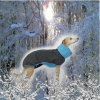 Deluxe Softshell Wintermantel / Windhundmantel mit integriertem Body Modell "Monaco" – Bild 15