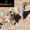 Vollbody-Windhundanzug als Underall & Overall, Modell "Münster" – Bild 8