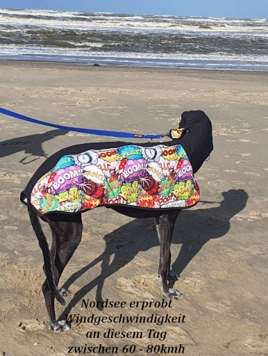 Allwetter- und Wintermantel / Windhundmantel mit integriertem Innenbody Modell "Noordwiyk"