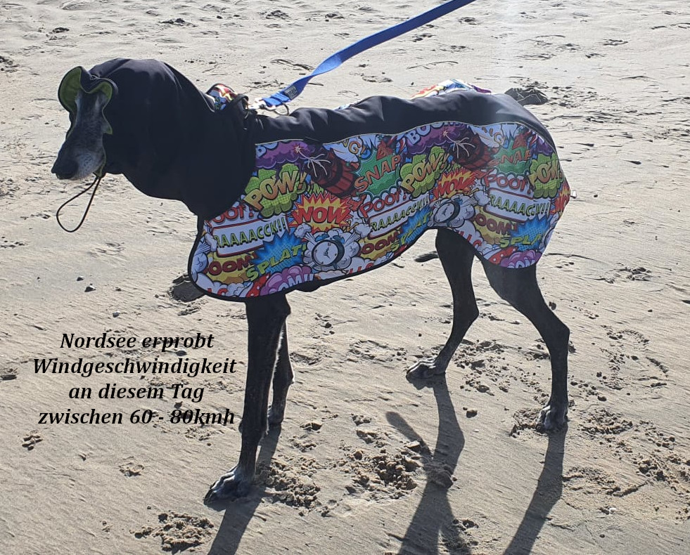 Allwetter- und Wintermantel / Windhundmantel mit integriertem Innenbody Modell "Noordwiyk" – Bild 9