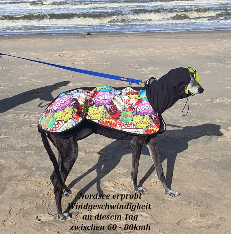 Allwetter- und Wintermantel / Windhundmantel mit integriertem Innenbody Modell "Noordwiyk" – Bild 8