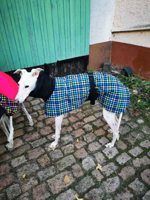 Kuschelig gefütterter Wintermantel / Windhundmantel in klassischer Ausführung Modell "Innsbruck" – Bild 11