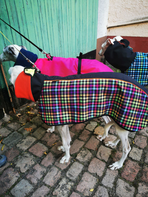 Allwetter Deluxe Wintermantel Modell "Eichsee" speziell für Geschirrträger konzipiert – Bild 21