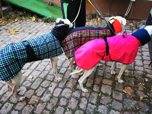 Allwetter Deluxe Wintermantel Modell "Eichsee" speziell für Geschirrträger konzipiert – Bild 22