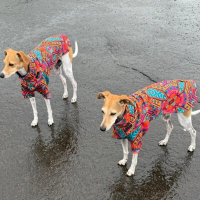 Windhundjumper mit Bein Modell "Hohensee"