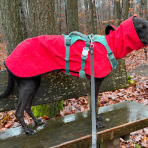 Gefütterter Regen- & Allwettermantel / Windhundmantel Modell "Zandvoort"