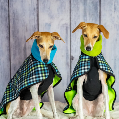 Allwetter Deluxe Wintermantel Modell "Eichsee" speziell für Geschirrträger konzipiert