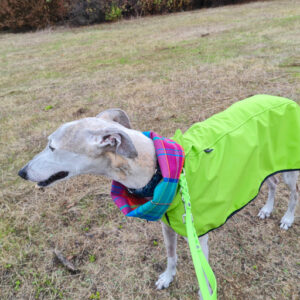 Allwettermantel / Windhundmantel Modell "Wetterau" leicht wärmend, mit integriertem Body