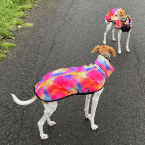 AQUAREPELL Windhundjumper - WASSERABWEISEND & WINDDICHT Modell "Ammersee"