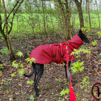 Felki Deluxe Sicherheitsgeschirr Modell "Safeguard"